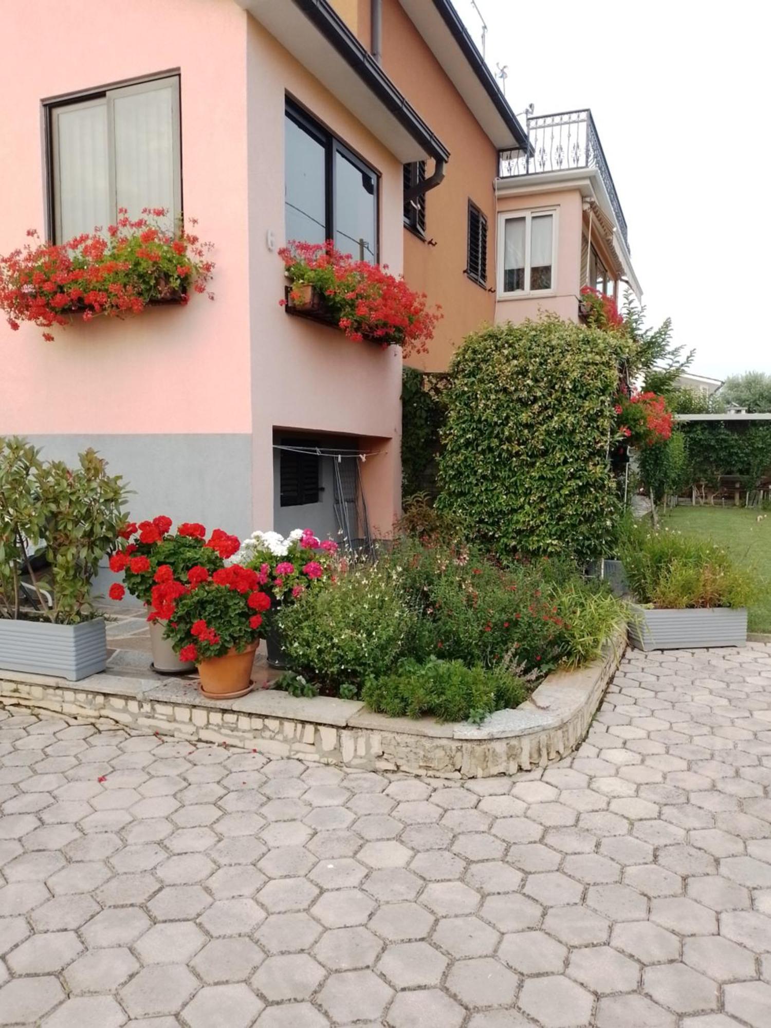 Apartman Olga Umag Exterior foto
